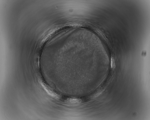 X0000115350205200911241201