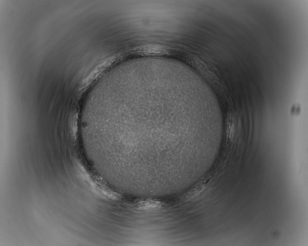 X0000115350206200911241201