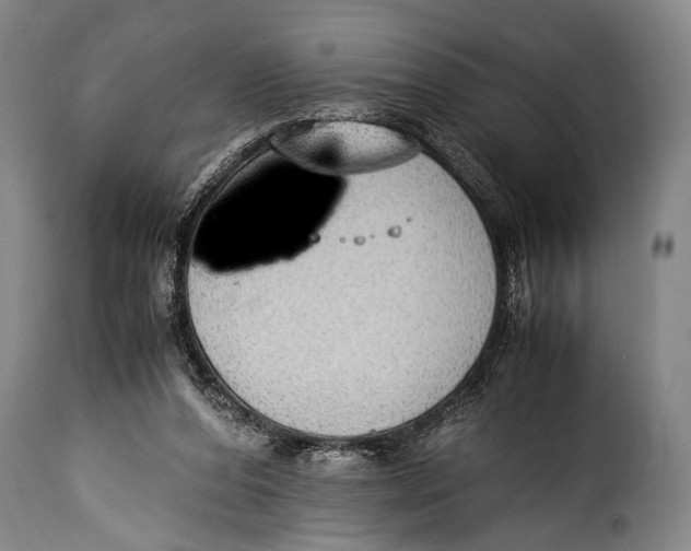 X0000115350208200911241201