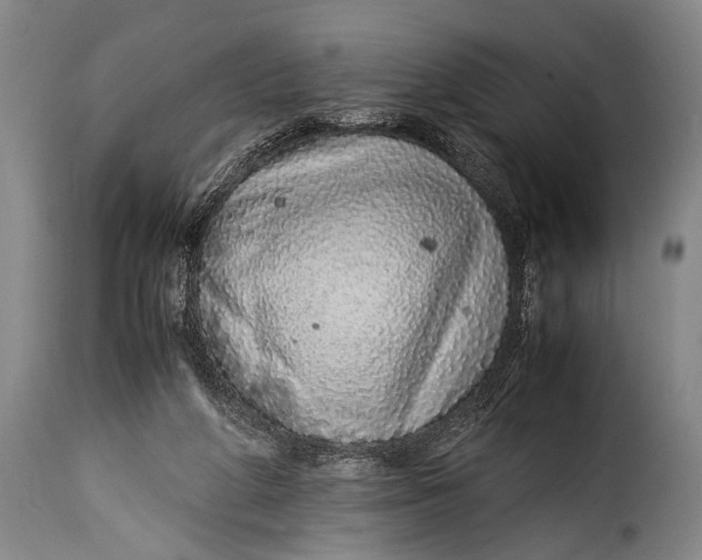 X0000115350210200911241201