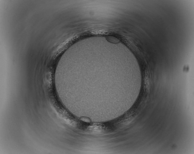 X0000115350211200911241201