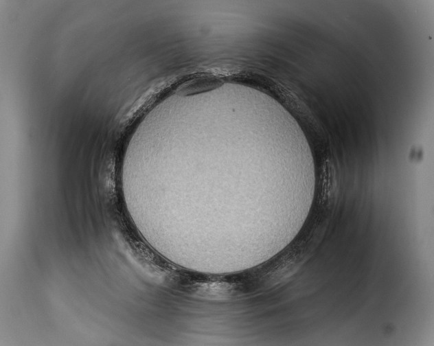 X0000115350212200911241201