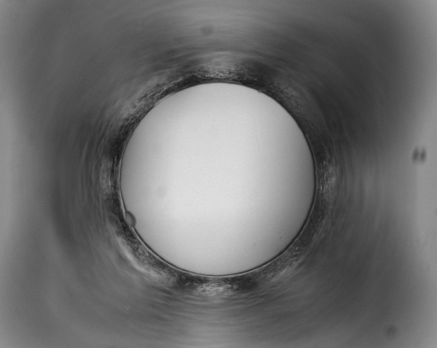 X0000115350213200911241201