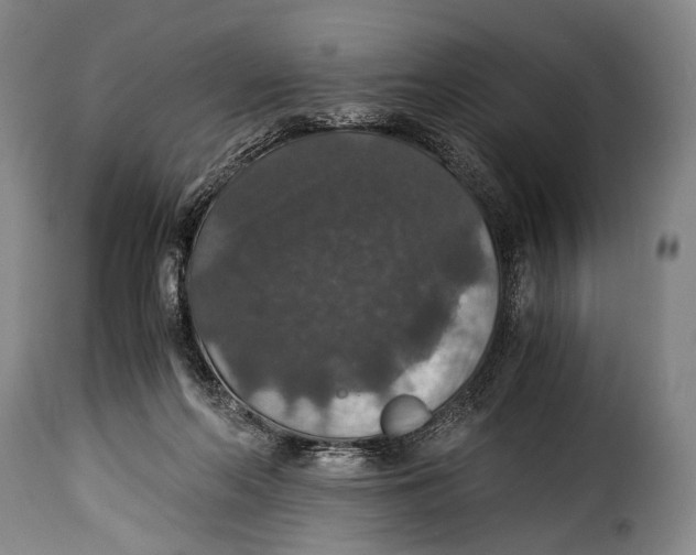 X0000115350214200911241201