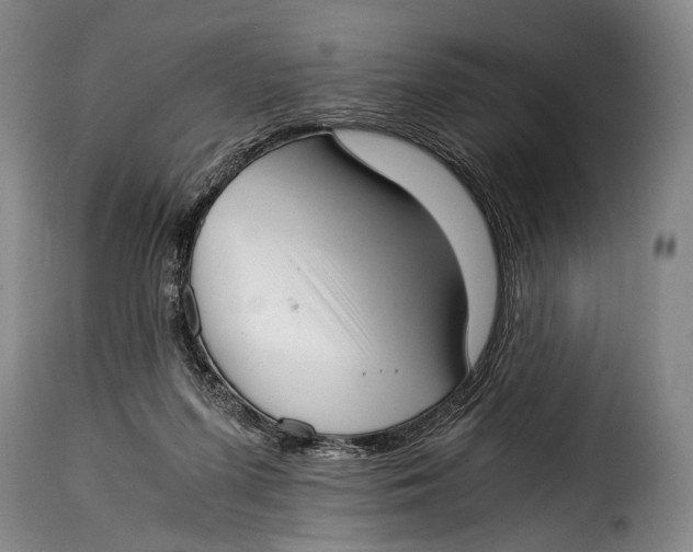 X0000115350215200911241201