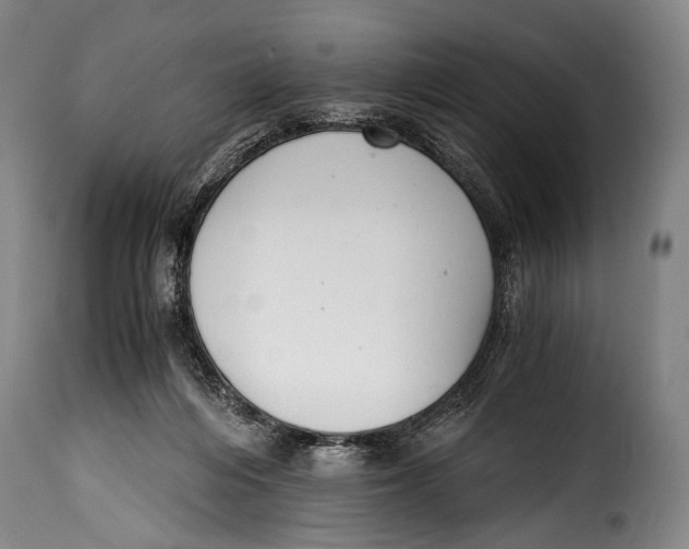 X0000115350216200911241201