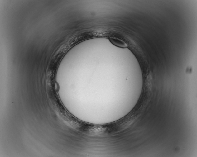 X0000115350217200911241201