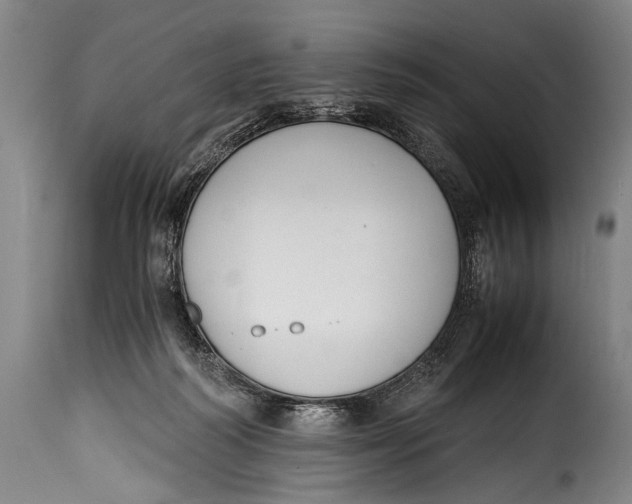X0000115350218200911241200