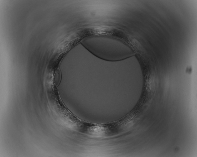 X0000115350219200911241200