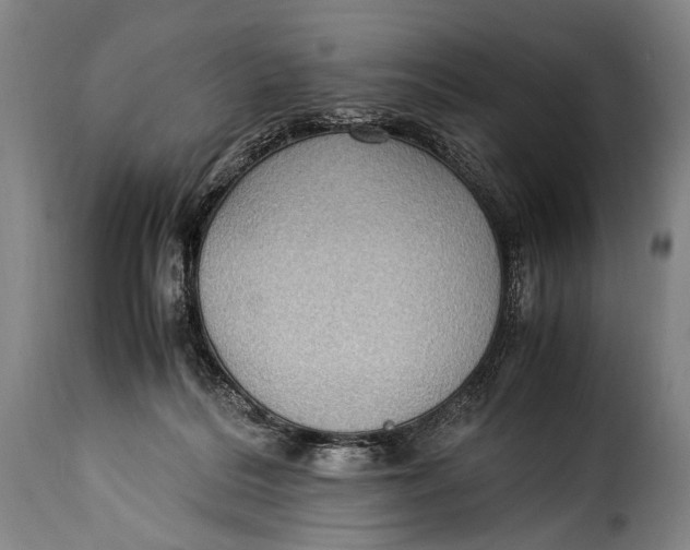 X0000115350220200911241200