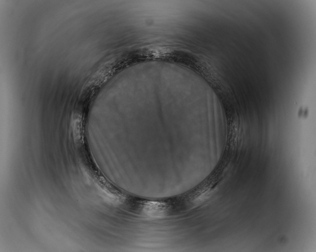 X0000115350222200911241200