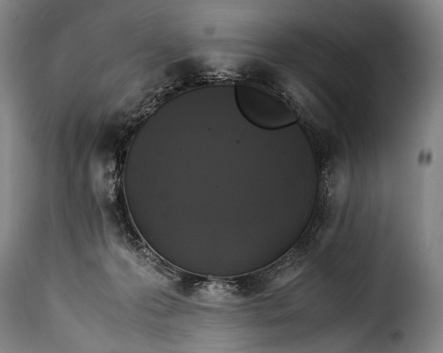 X0000115350223200911241200