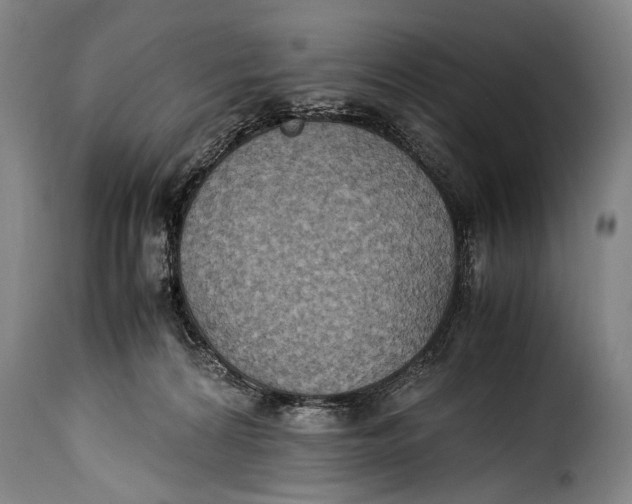 X0000115350224200911241200