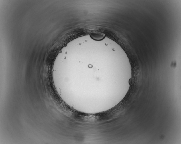 X0000115350225200911241200