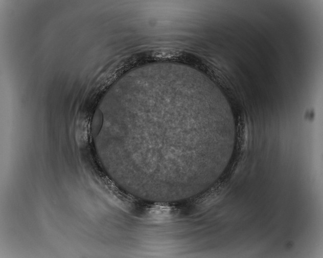 X0000115350227200911241200