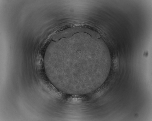 X0000115350228200911241200