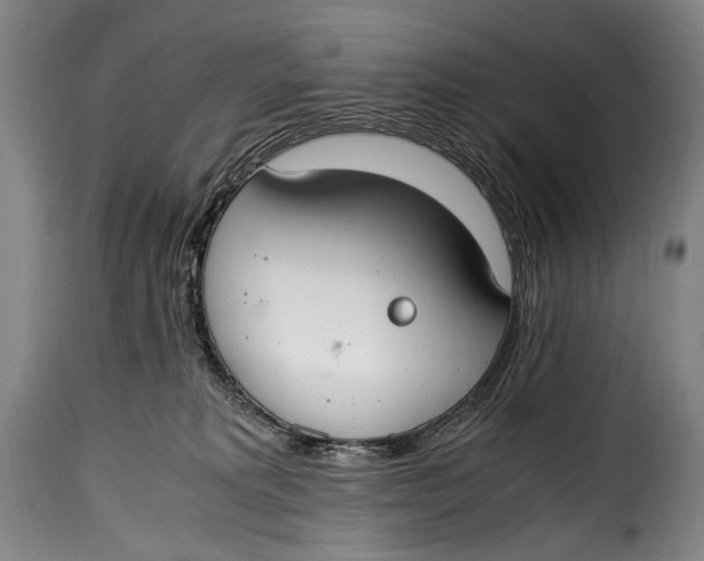 X0000115350229200911241200