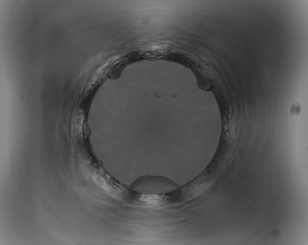 X0000115350231200911241200