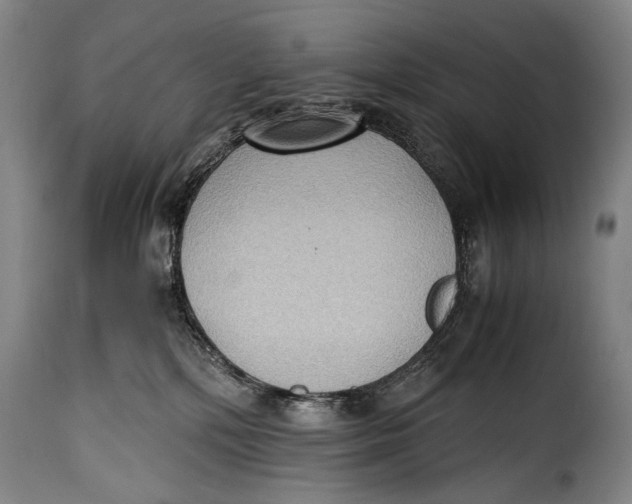 X0000115350232200911241200