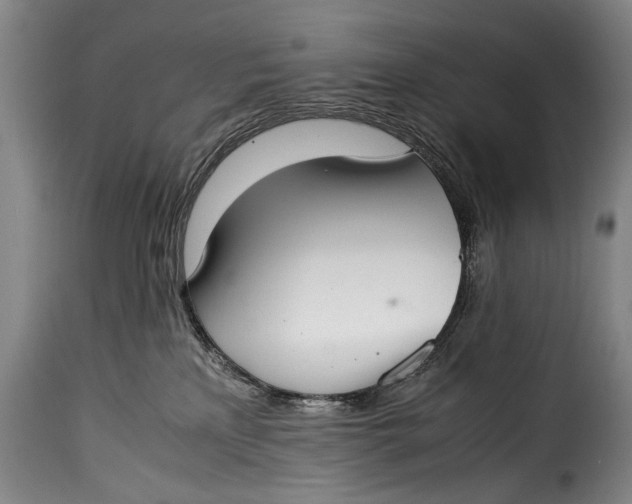 X0000115350233200911241200