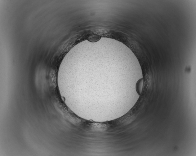 X0000115350234200911241200