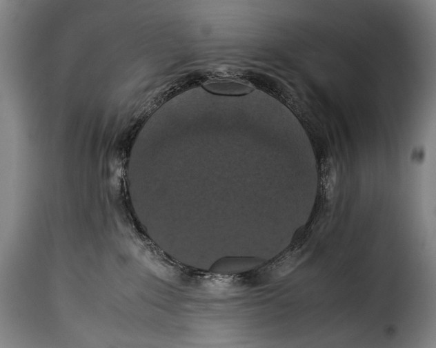 X0000115350235200911241200