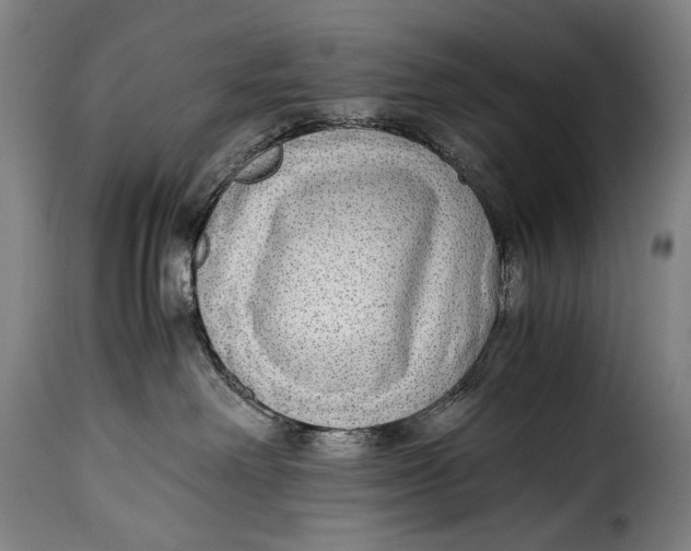 X0000115350238200911241200