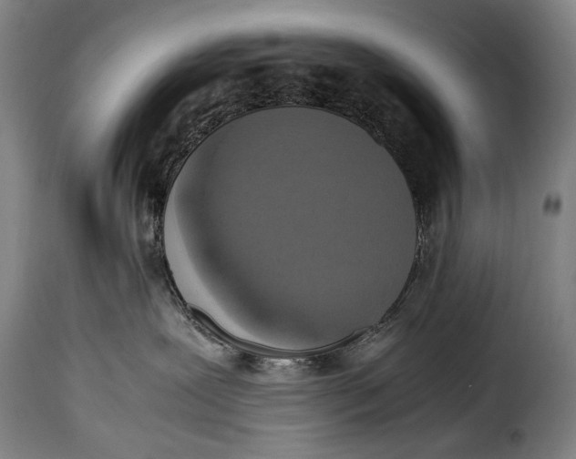 X0000115350239200911241200