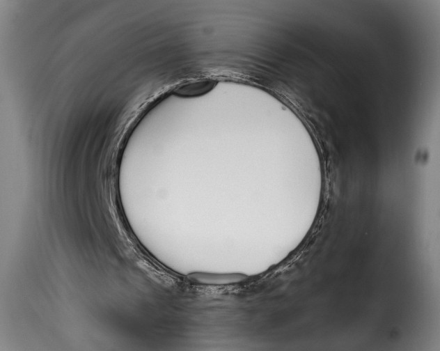 X0000115350241200911241159
