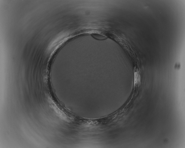 X0000115350243200911241159