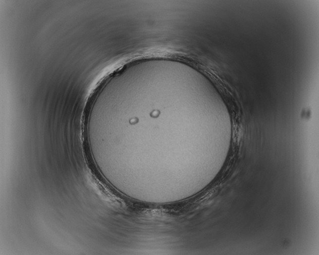 X0000115350244200911241159
