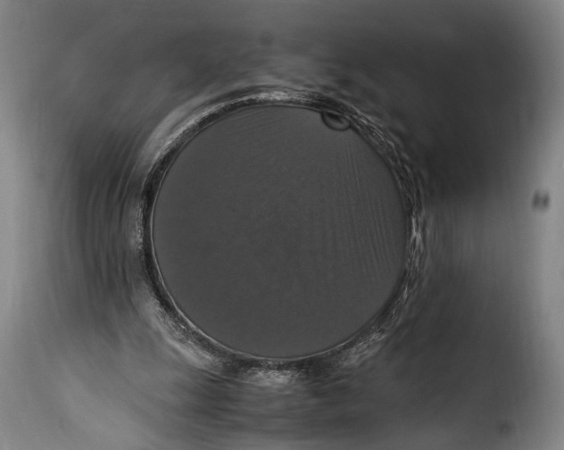 X0000115350247200911241159