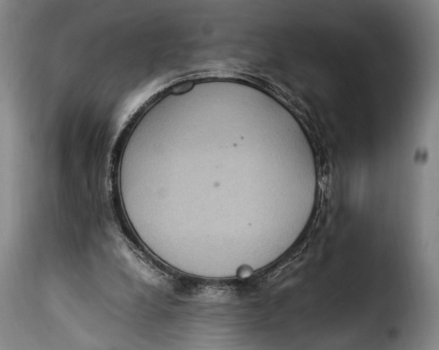 X0000115350248200911241200