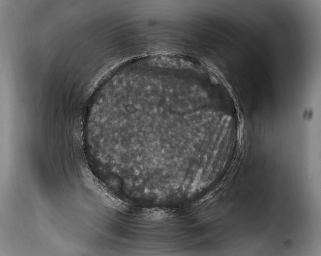 X0000115350249200911241200