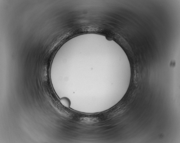 X0000115350251200911241200