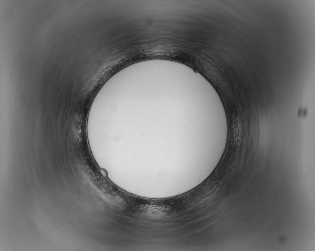 X0000115350255200911241200