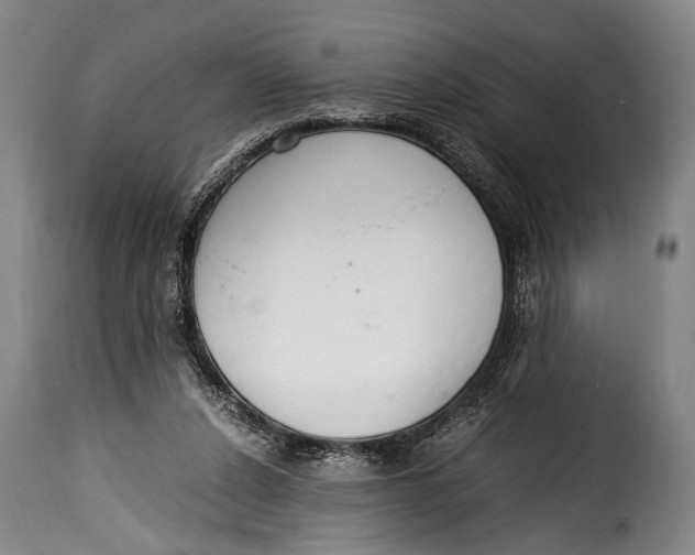 X0000115350256200911241200