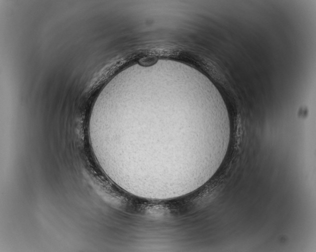 X0000115350258200911241200
