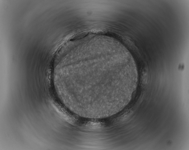 X0000115350260200911241200
