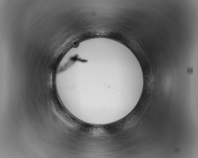 X0000115350262200911241200