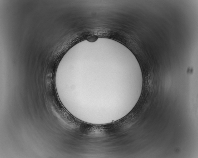 X0000115350263200911241200