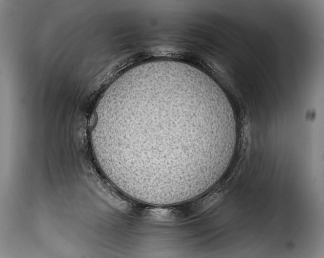 X0000115350265200911241200