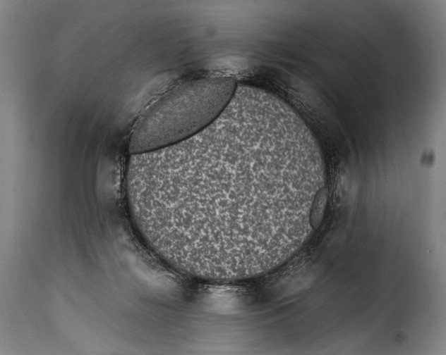 X0000115350268200911241200