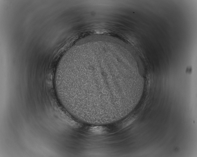 X0000115350269200911241200