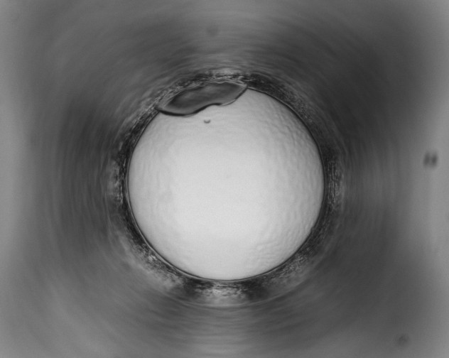 X0000115350270200911241200