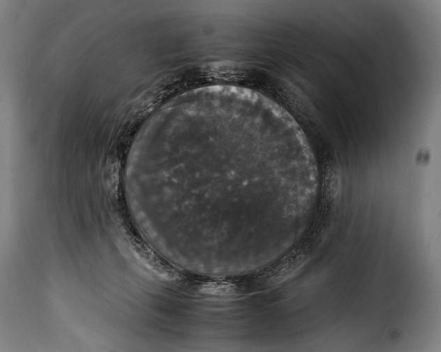 X0000115350271200911241200
