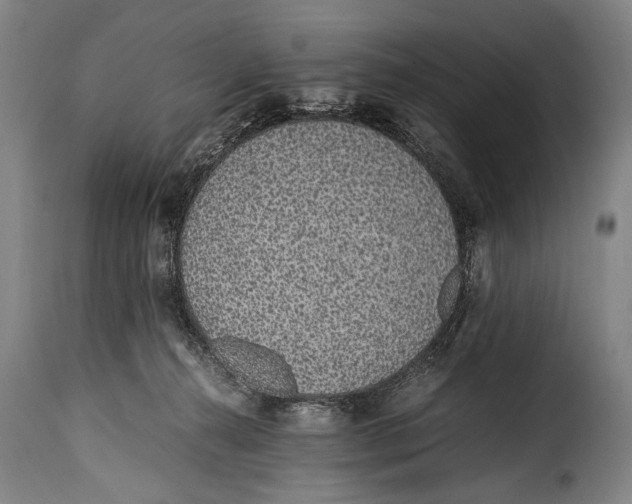 X0000115350272200911241200