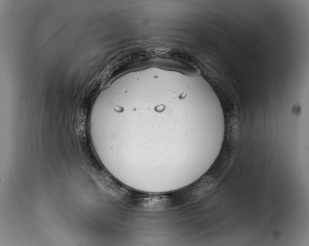 X0000115350274200911241200