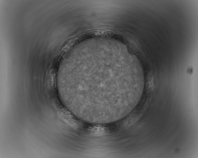 X0000115350276200911241200