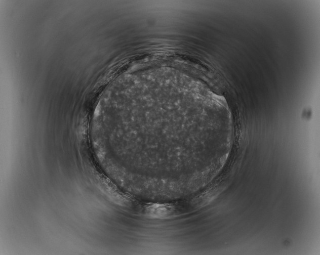 X0000115350277200911241200